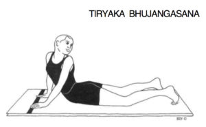 Tiryak Bhujaṅgāsana. Asana Pranayama Mudra Bandha 1996: 199.